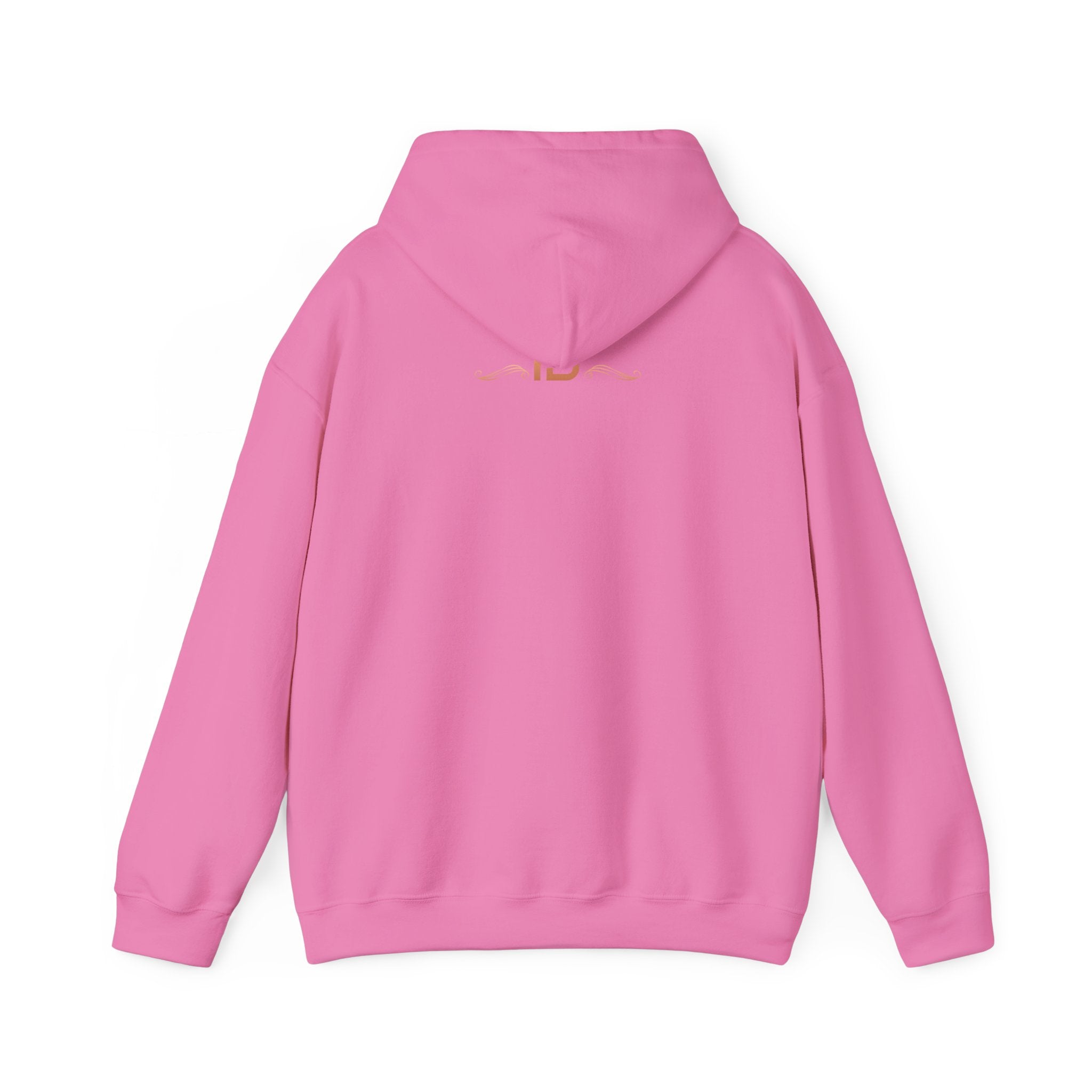 House of Dappierre University Hoodie Pullover