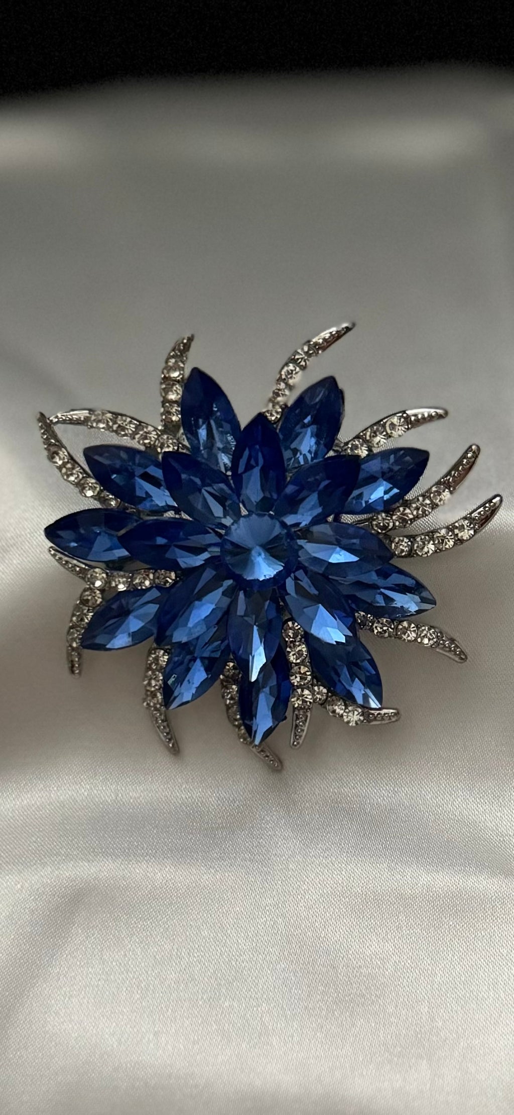Blue Zinnia