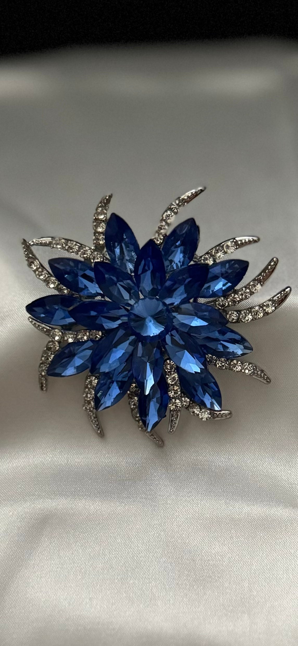 Blue Zinnia